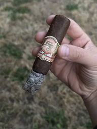 Nice ash