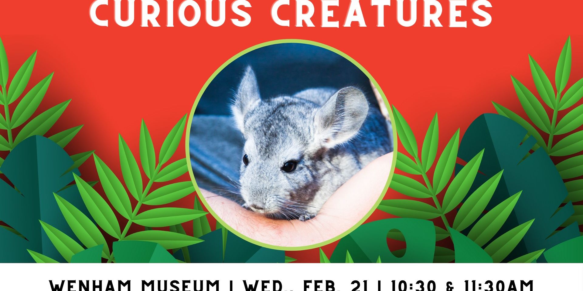 Curious Creatures promotional image
