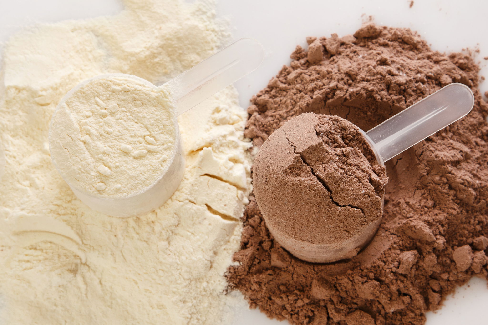 Whey Protein vs Plant Protein Powder: Which is Better? -