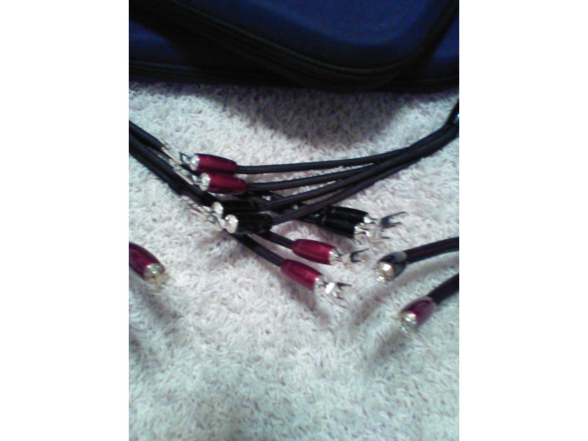 AudioQuest Oak Speaker Cable 7ft. Bi-wired