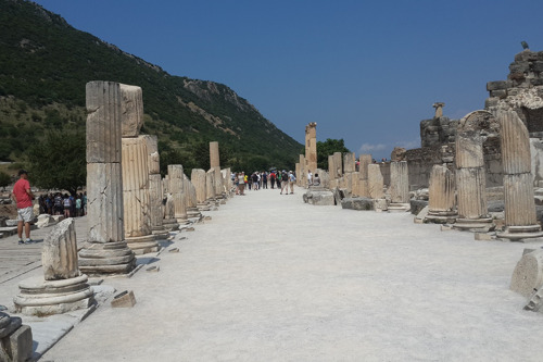 Посещение Эфеса и дегустация вина
