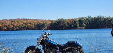 7 Lakes & the 🐻  near Woodbridge Township, NJ