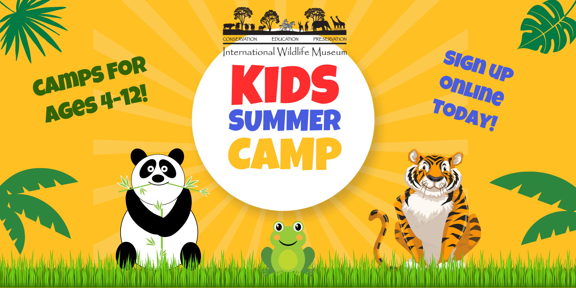 Kids Summer Camps promotional image