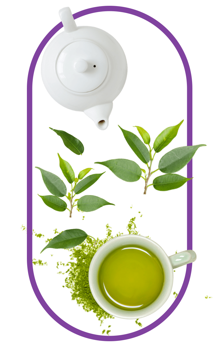 Image of green tea leaves, a teapot, and a cup of green tea with text highlighting its energy boost, antioxidant richness, and detoxification benefits, linked to a multivitamin for women.