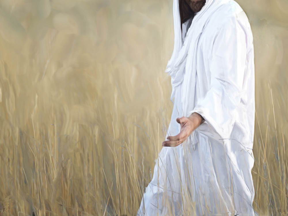 Jesusin a white robe walking through a wheatfield.