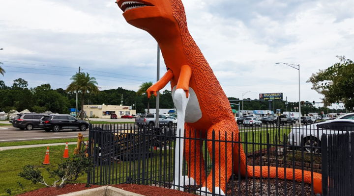 Main Content Image