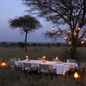 Honeymoon Dining Experiences