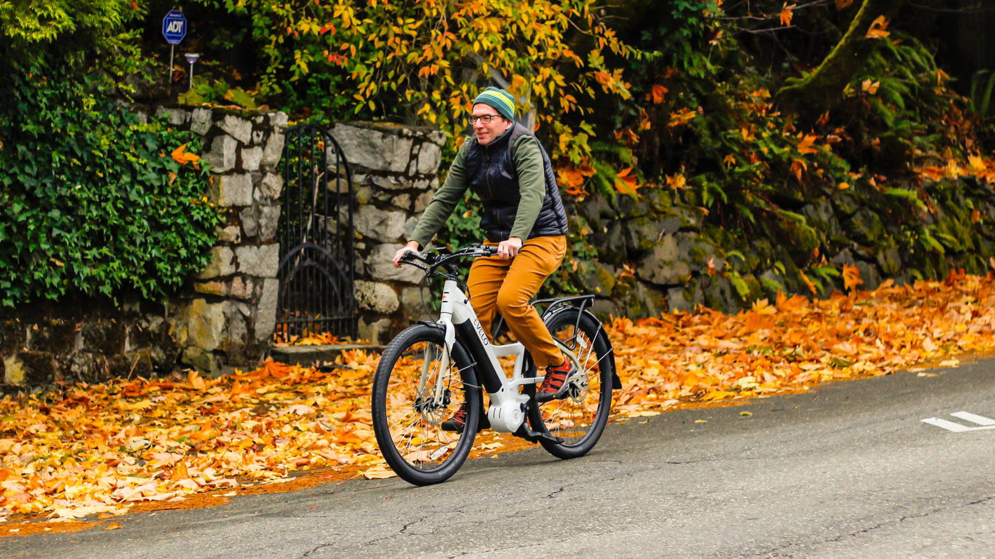 mountain bike elettrica