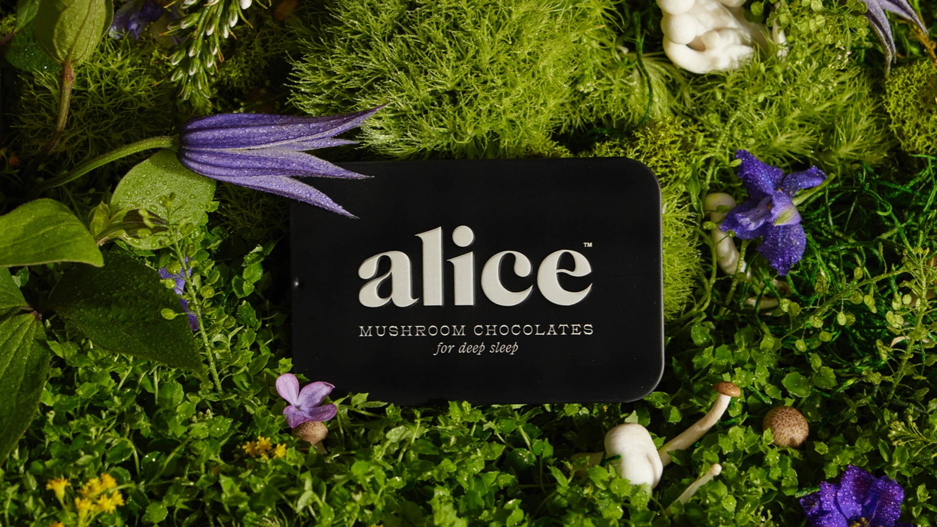 Featured image for Alice Is Serving Up Decadent Functional Mushrooms