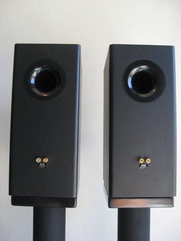 GR Research Diluceo Monitors w/ ribbon tweeters
