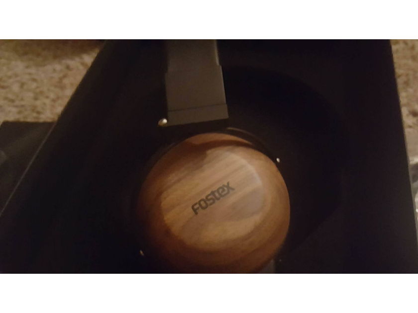 Fostex TH-610 Premium Reference Headphones