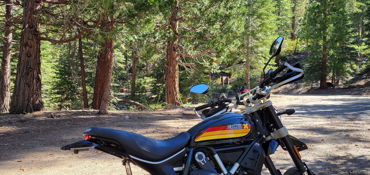 2018 DUCATI SCRAMBLER DESERT SLED motorcycle for rent near Sonora, CA