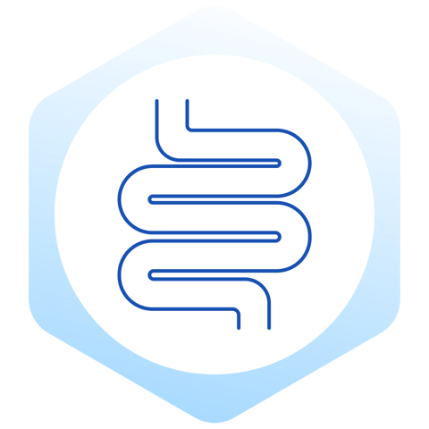 Gut icon gut icon