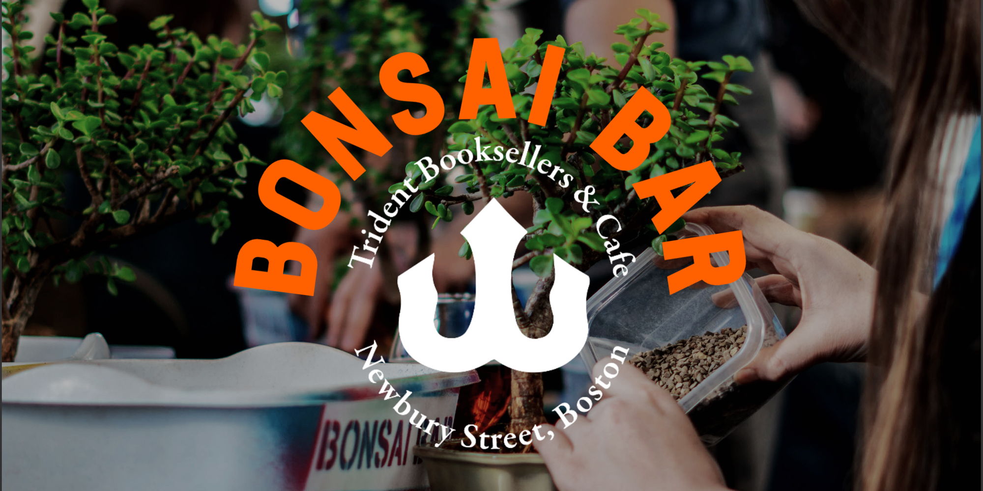 Bonsai Bar @ Trident Booksellers & Cafe promotional image