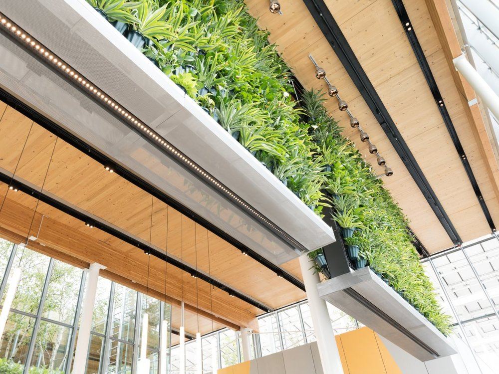 the-restaurant-also-highlights-something-else-mcdonalds-is-pushing-in-an-effort-to-remake-its-image-sustainability-it-has-more-than-70-trees-at-the-ground-level-as-well-as-on-site-solar-panels.jpg
