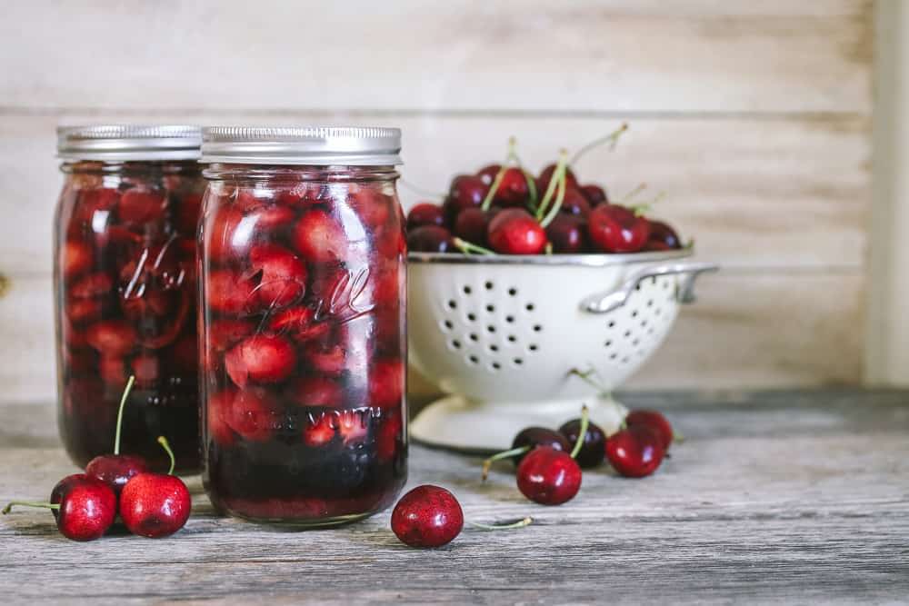 canned cherries for dogs.jpg