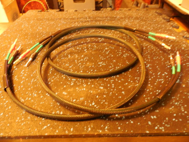 Silver/Teflon 8 AWG Speaker Cables 4.5 feet Silver tip ...