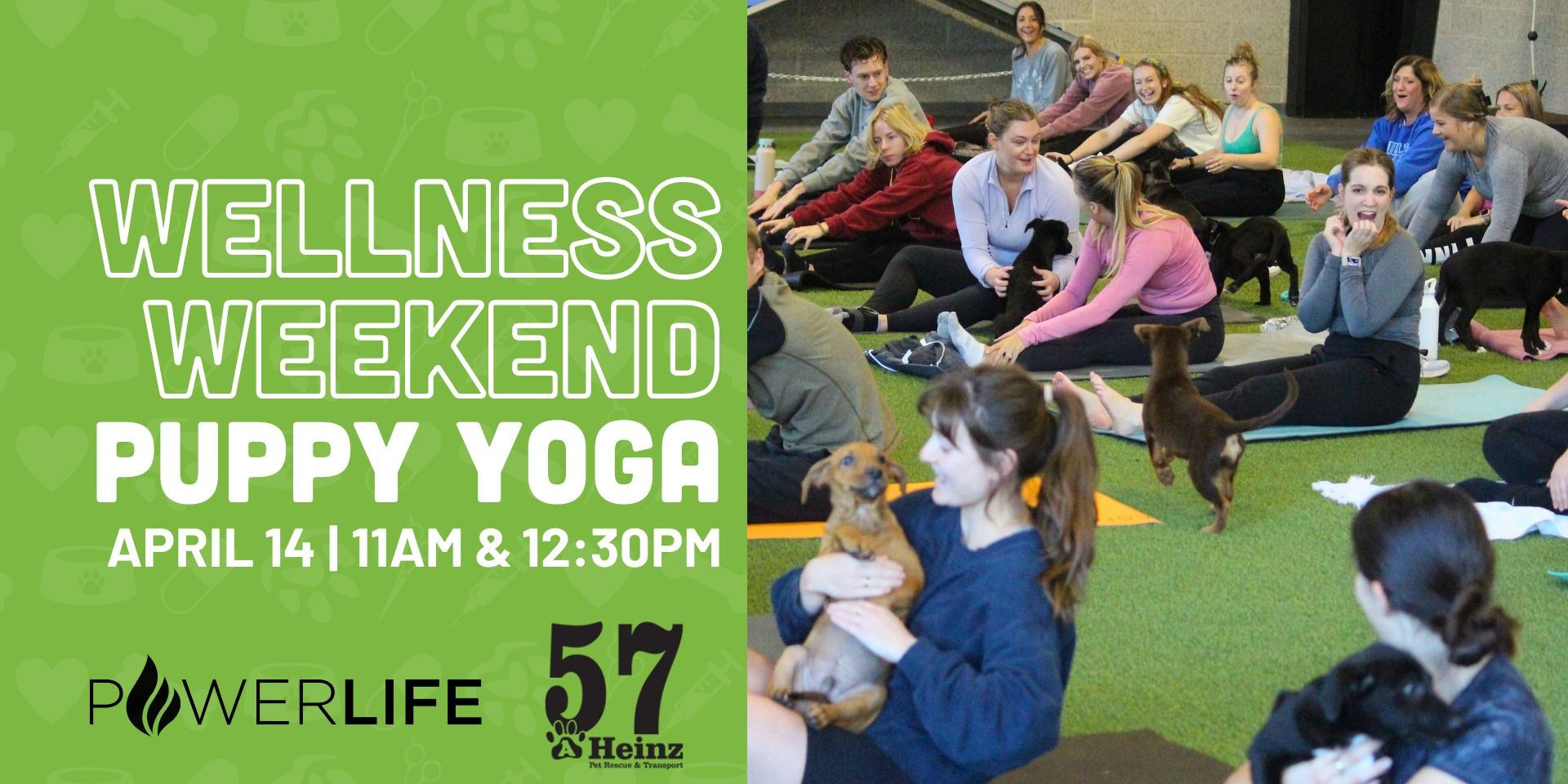 Wellness Weekend Puppy Yoga promotional image