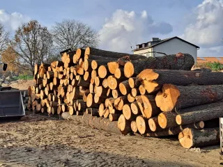  Drewno z wycinki złożone w km 15+200