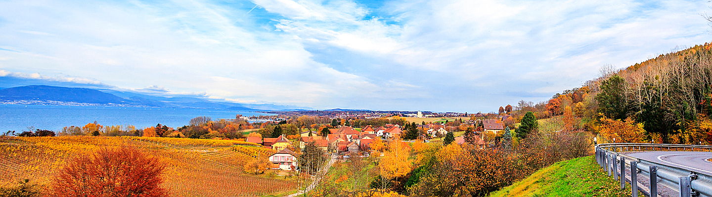  Zug
- Neuchâtel