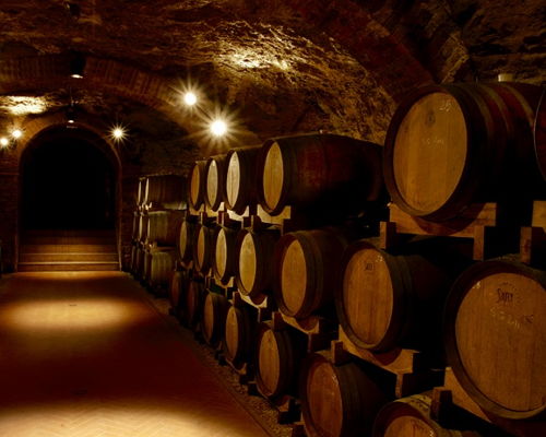 Food experiences Barberino Val d'Elsa: Visit to an Etruscan winery with lunch and wine tasting