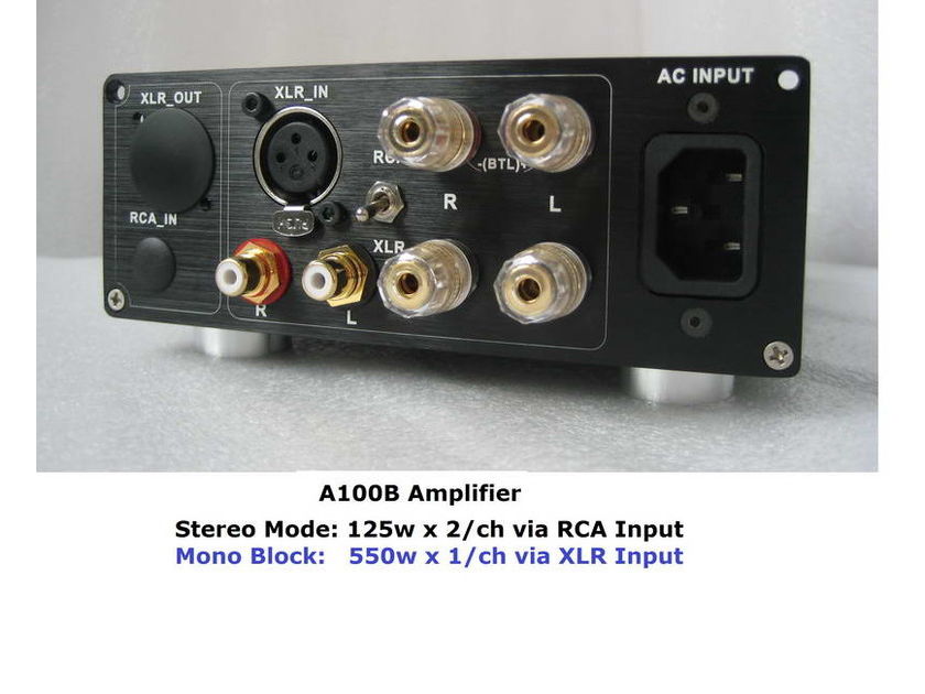 B&O ICEpower 125ASX2 & --- A100B Mono block 550w & SE Amplifier