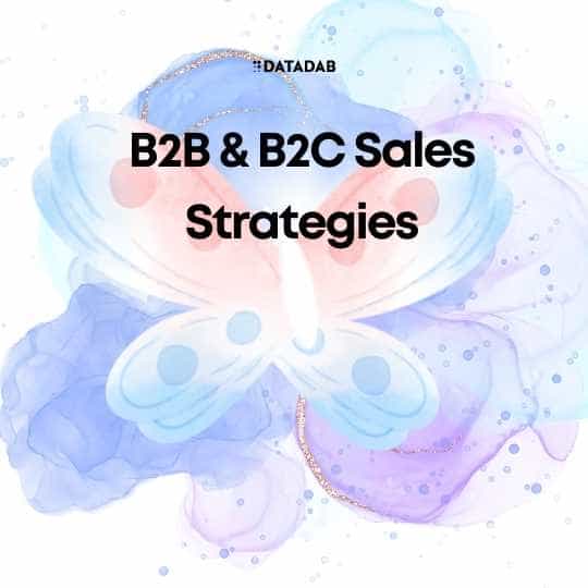 B2B & B2C Sales Strategies