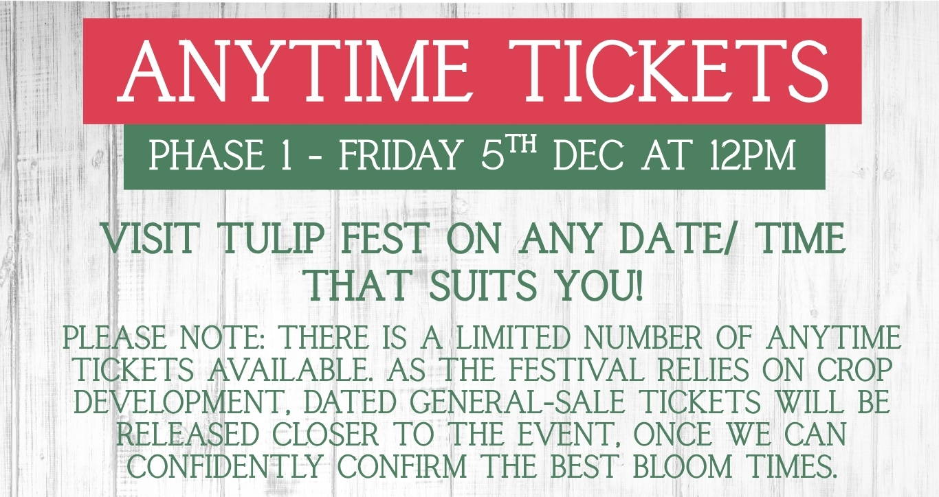 Discover the biggest and best pumpkin festival in Devon & Cornwall, and South West! Pumpkin Fest at Strawberry Fields is the ultimate family day out with a huge pumpkin patch, pumpkin picking, maize maze, barrel train rides, photo spots, tasty autumn treats & fun for all ages. Book now!