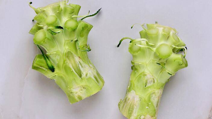 broccoli stems for dogs