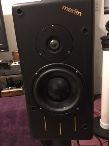 Merlin Music Systems MMI Monitor Speakers