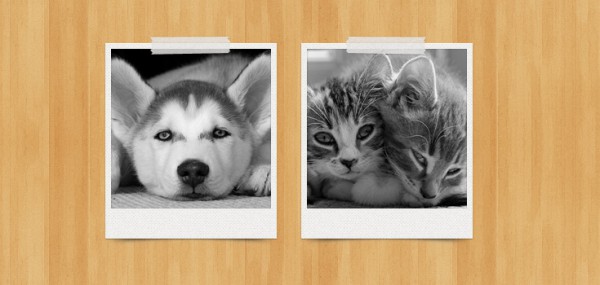 Шаблон рамок «Фотографии Polaroid (Поларойд)» в послойном psd-файле