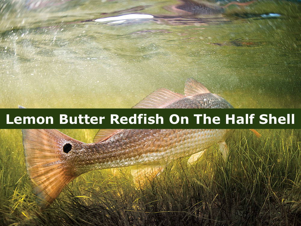 Lemon Butter Redfish On The Half Shell Hunting And Fishing Depot