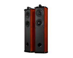 Swans Speaker Systems Diva 6.3 5.0 SET SPECIAL SALE!!! ...