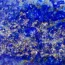Huile précieuse Lapis Lazuli