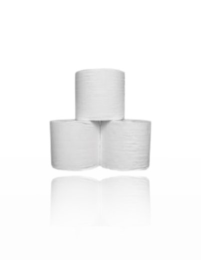 4001 2ply 400sh Toilet Roll 48 Rolls/Ctn Recycled