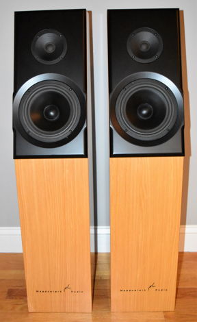 Meadowlark Audio Kestrel Floorstanding Speakers