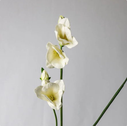 Freesia White Real Touch - Realistic Artificial Flowers