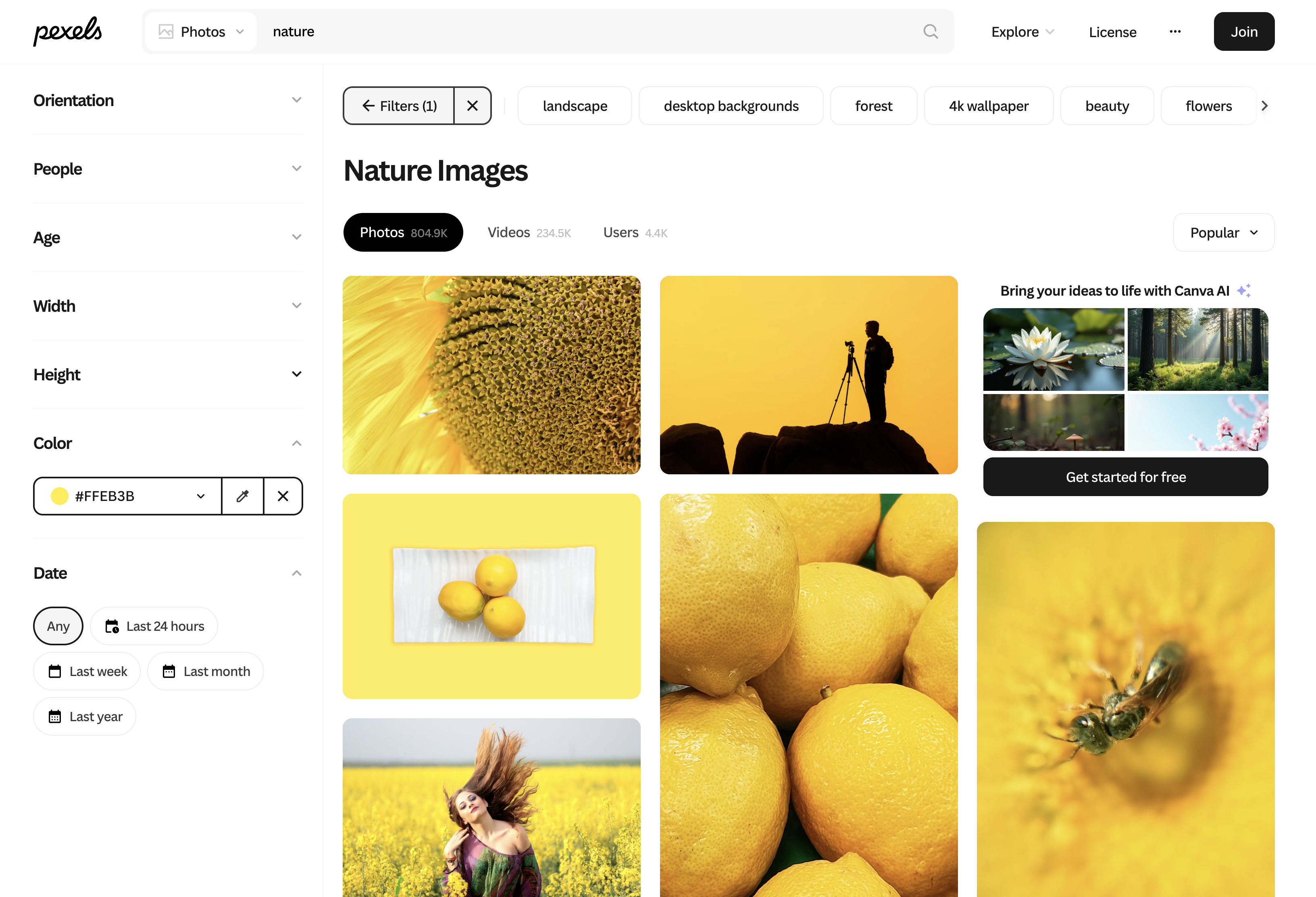 Yellow nature photos