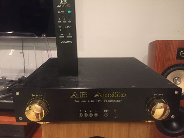Bache Audio AB-700 The Tube   Preamplifier  matched to ...