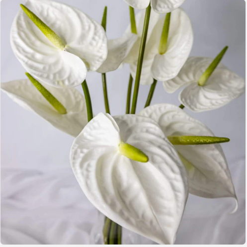 White Large Anthurium - Realistic Artificial Flowers - Image 5