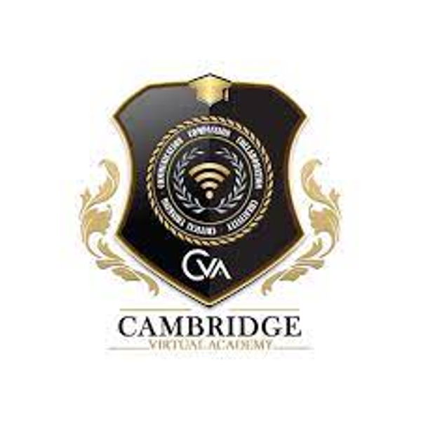 Cambridge Virtual Academy PTSA