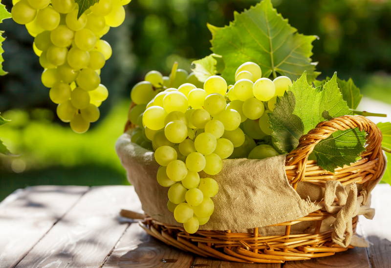 高級フルーツとは