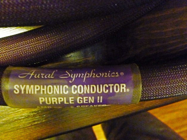 Aural Symphonics Purple Gen II