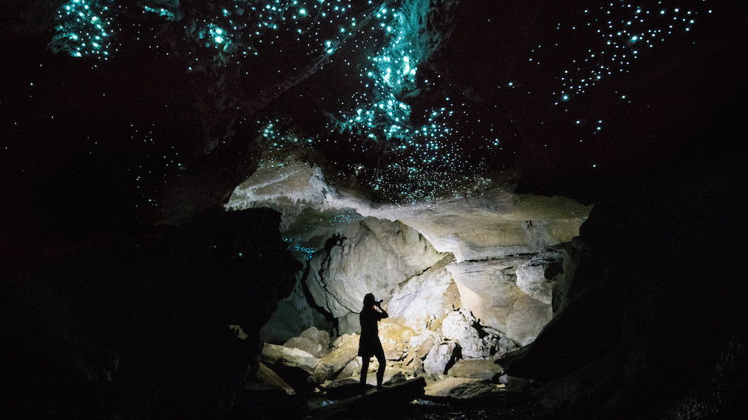 Glow Worm Cave Photography Tour