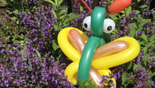 eventagentur spielspass eb