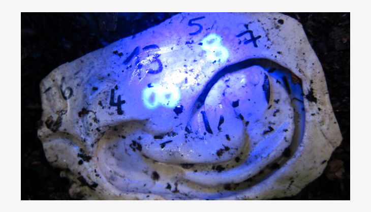 kindergeburtstag dues