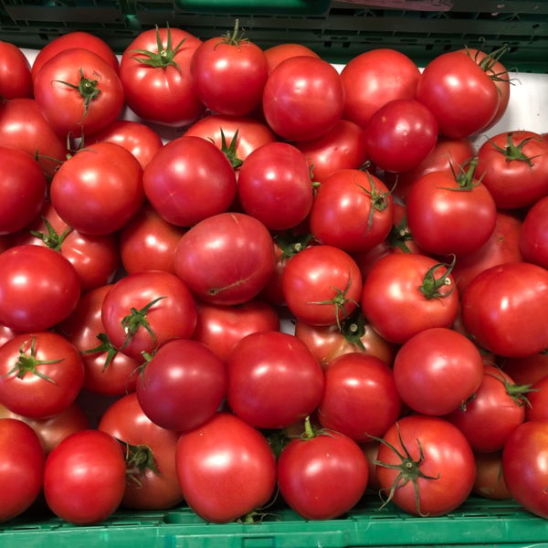 tomate-rose-de-berne
