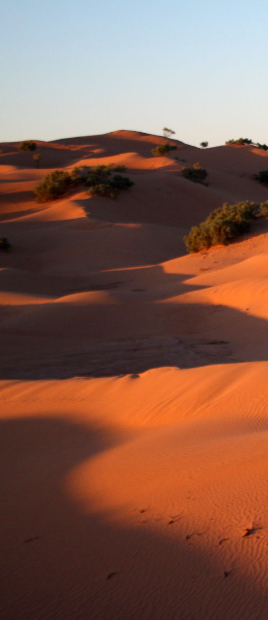 Marokkanische Wüste, als Kevin Drasl da war