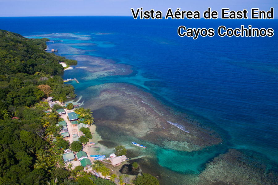 Guest Hub Reservaciones La Ceiba