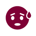 Alt Image